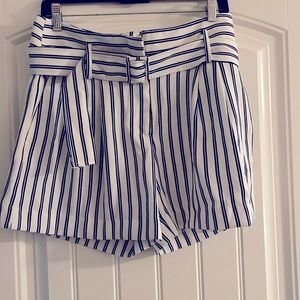 Ann Taylor The Belted Short size 10
